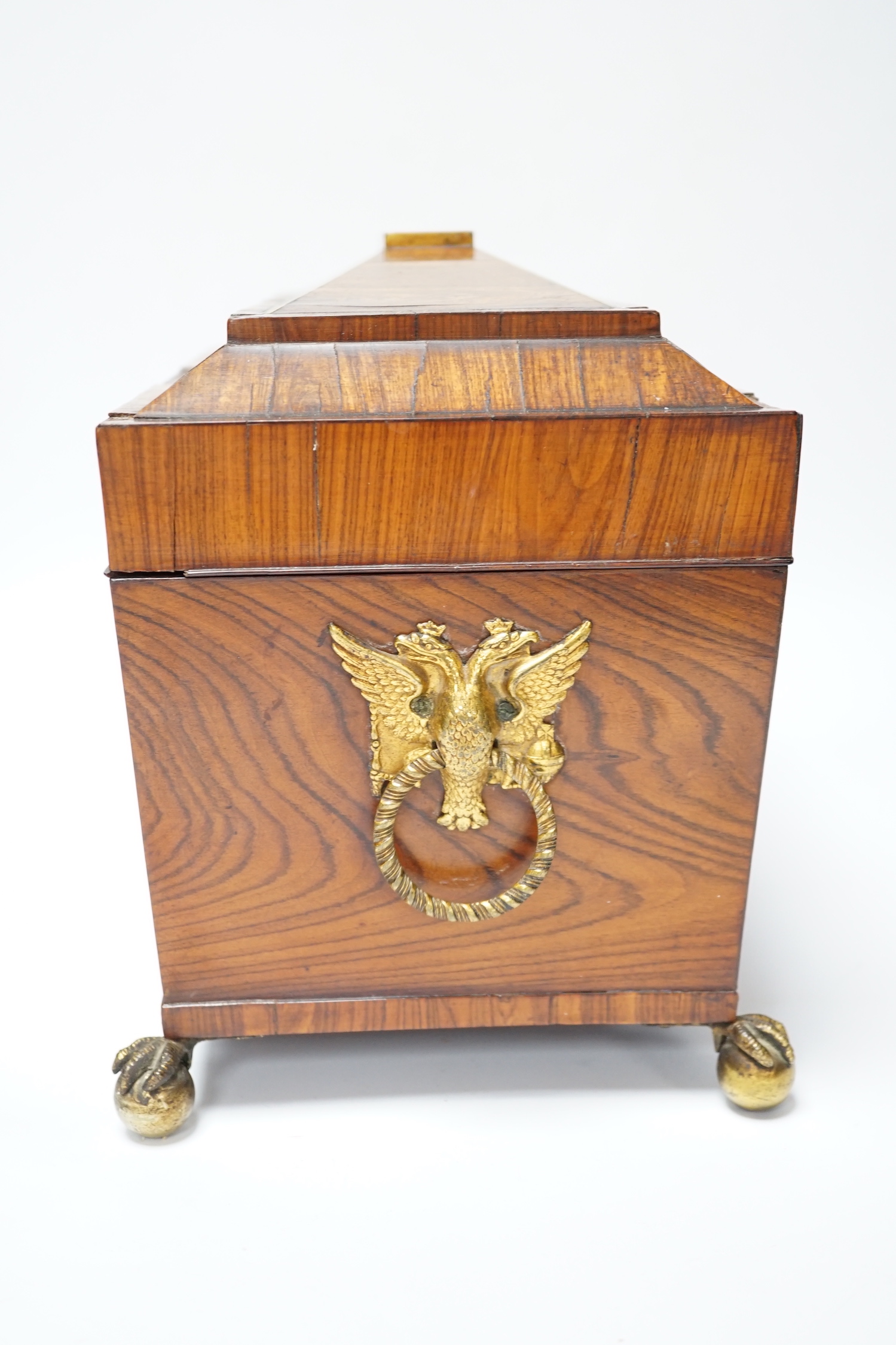 A Regency kingwood and brass strung sarcophagus tea caddy, manufacturers label for Staudenmeyer, 30 Cockspur Street, Charing Cross, London, double headed eagle handles, 21.5cm high, 30.5cm wide, 15cm deep